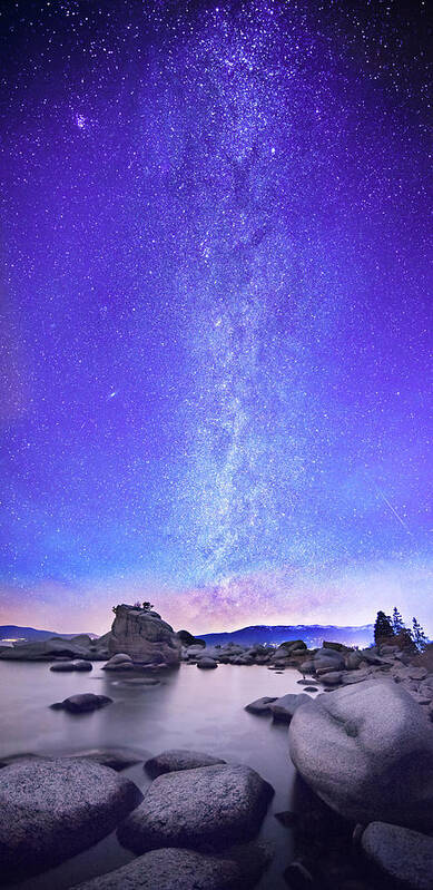 Nature Poster featuring the photograph Star Gazer #1 by Brad Scott