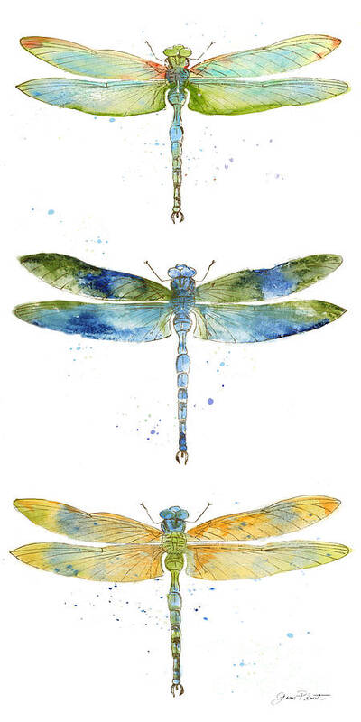 Jean Plout Poster featuring the painting Dragonfly Bliss-JP3443 by Jean Plout