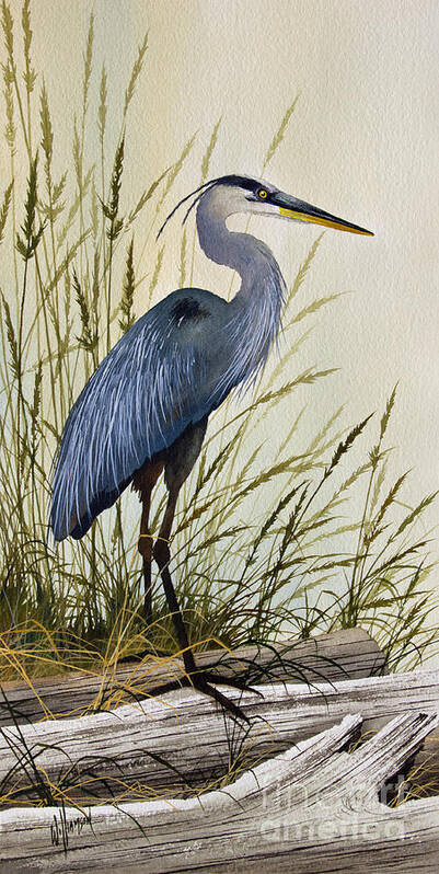Great Blue Heron Poster featuring the painting Great Blue Heron Splendor by James Williamson