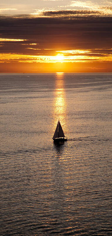 Sunset Poster featuring the photograph Sailing in the sun by Terry Dadswell