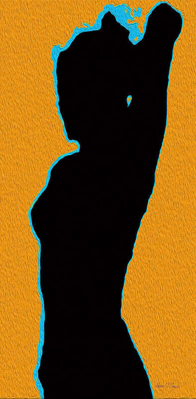  Poster featuring the photograph Shadow Dance Three Naranja Y Turquesa Black by Robert J Sadler