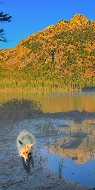 Taggart Lake Poster featuring the photograph Taggart Lake Triptych Left Panel by Greg Norrell