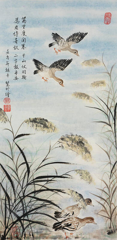 Chinese Watercolor Poster featuring the painting Ducks Among Lu Wei by Jenny Sanders
