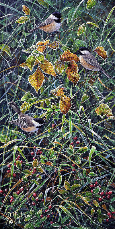 3 Chickadees Perched On Branches With Leaves And Berries Poster featuring the painting Chickadee 2 by Jeff Tift