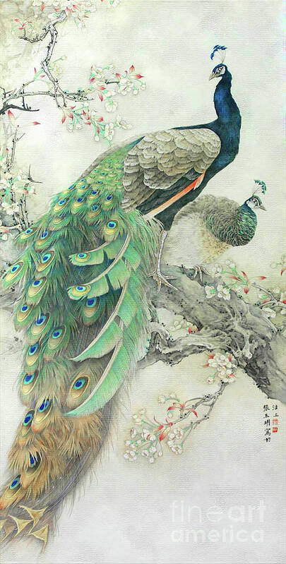 Vintage Poster featuring the painting Vintage Art - Pair of Peacocks in tree by Audrey Jeanne Roberts