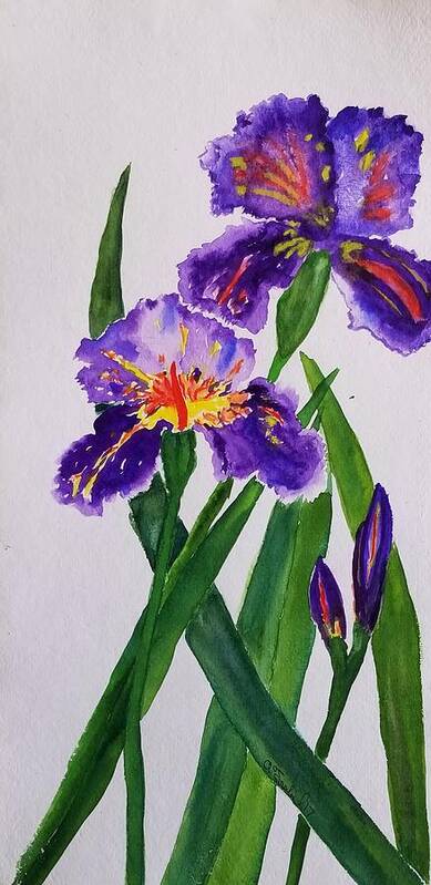 Purple Iris Poster featuring the painting 3 Purple Irises by Ann Frederick