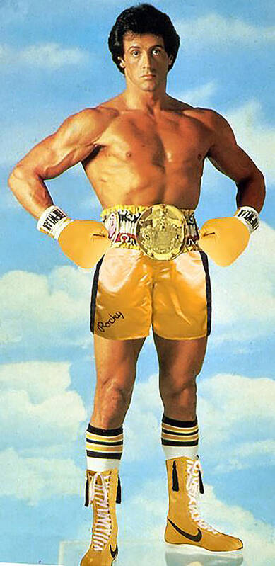 Rocky Balboa #3 Poster by Margarette Lehner - Fine Art America
