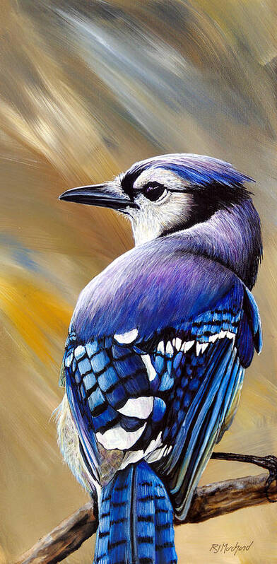 Blue Jay Poster featuring the painting All Joking Aside by R J Marchand