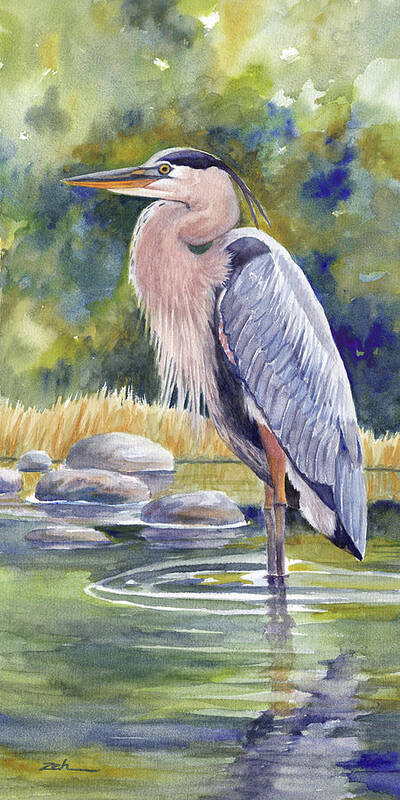 Great Blue Heron Poster featuring the painting Great Blue Heron in a Stream I by Janet Zeh