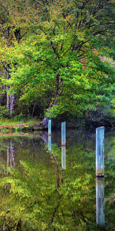 Carolina Poster featuring the photograph Perfect Autumn Reflections II by Debra and Dave Vanderlaan