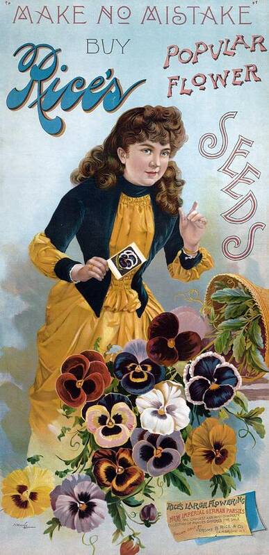 Americana Poster featuring the digital art Rices's Flower Seeds, 1896 by Kim Kent