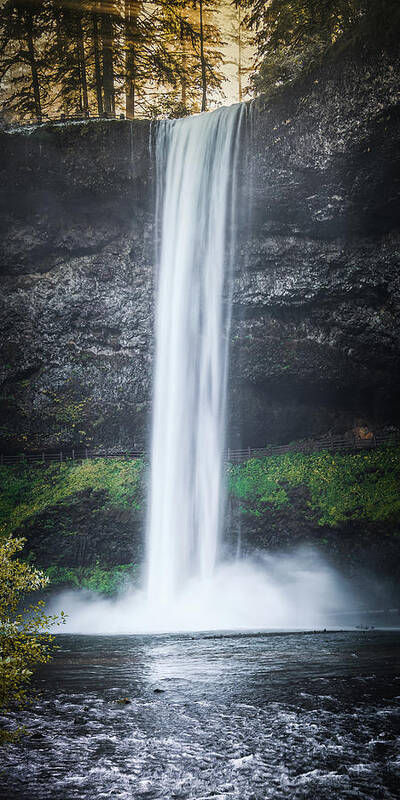 Forest Poster featuring the photograph Waterfall G 1x2 by Ryan Weddle