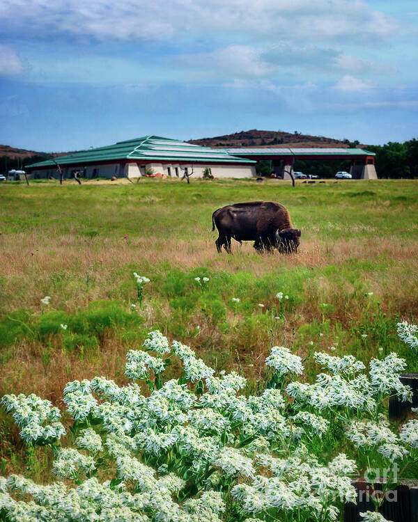 Buffalo Poster featuring the photograph Wichita Mountain Wildlife Reserve Welcome Center Verticle by Tamyra Ayles