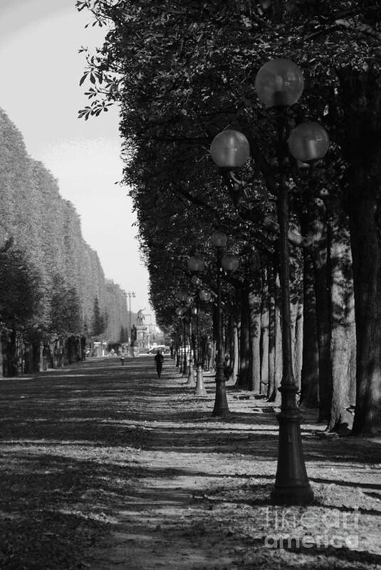 Paris Poster featuring the photograph Paris - Peaceful Afternoon BW by Jacqueline M Lewis