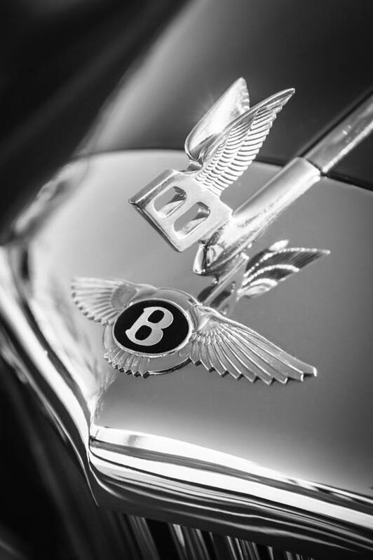 1961 Bentley S2 Continental flying Spur Hood Ornament Poster featuring the photograph 1961 Bentley S2 Continental Hood Ornament - Emblem by Jill Reger