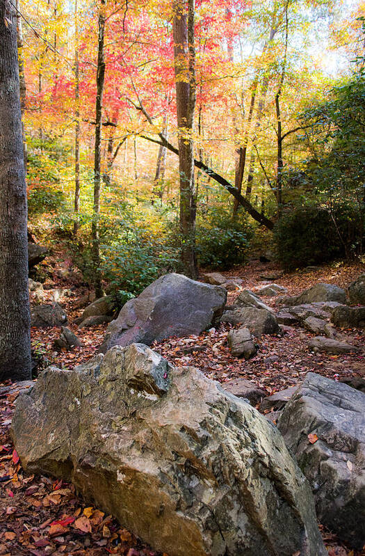 Autumn Poster featuring the photograph A Palette of Colors #2 by Parker Cunningham