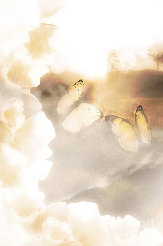 Dreams Poster featuring the digital art Butterfly Dreams by Jorgo Photography