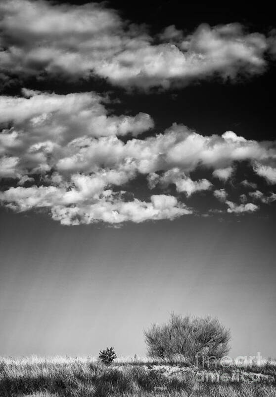 Black And White Landscape Photography Poster featuring the photograph Clouds and Brush #1 by David Waldrop