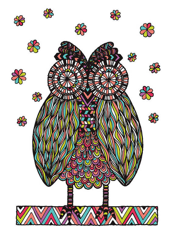 Susan Claire Poster featuring the photograph Dream Owl #1 by MGL Meiklejohn Graphics Licensing