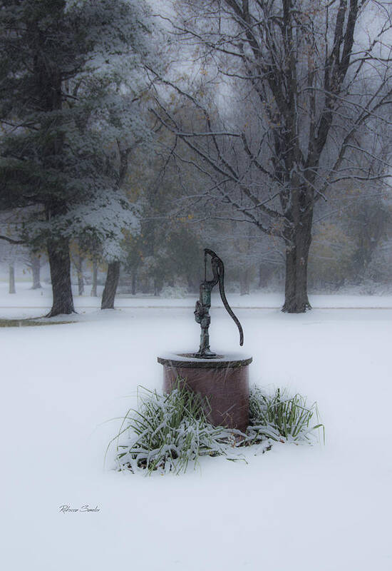 Snow Poster featuring the photograph First Snow by Rebecca Samler