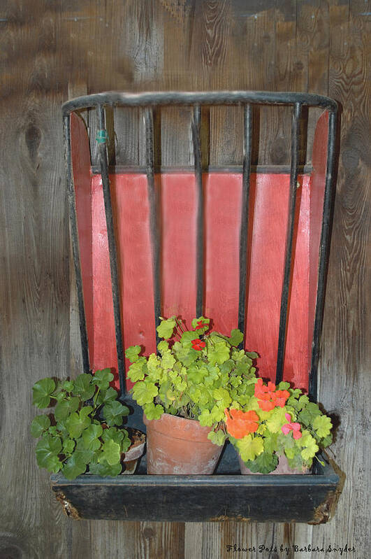Flower Pots Poster featuring the photograph Flower Pots #1 by Barbara Snyder