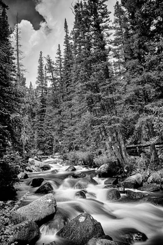 Mountain Stream Poster featuring the photograph Forest Stream in Black and White #2 by James BO Insogna