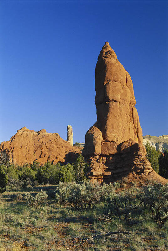 1997 Poster featuring the photograph Geyser Remnant, Kodachrome Basin, Utah #1 by James Steinberg