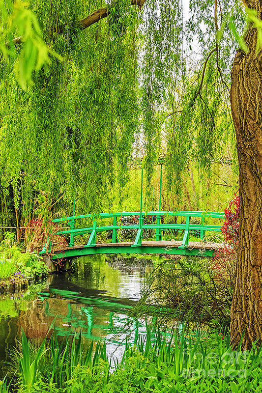 Travel Poster featuring the photograph Giverny Spring Greens by Elvis Vaughn