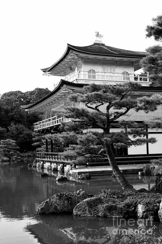 Black And White Poster featuring the photograph Golden Pagoda in Kyoto Japan #1 by David Smith