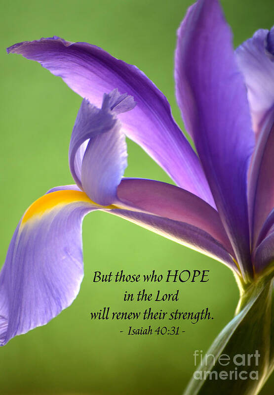 Iris Poster featuring the photograph Hope by Deb Halloran