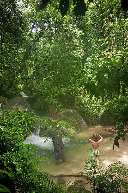 Scenics Poster featuring the photograph Mossman Gorge Daintree National Park #1 by Peter Adams