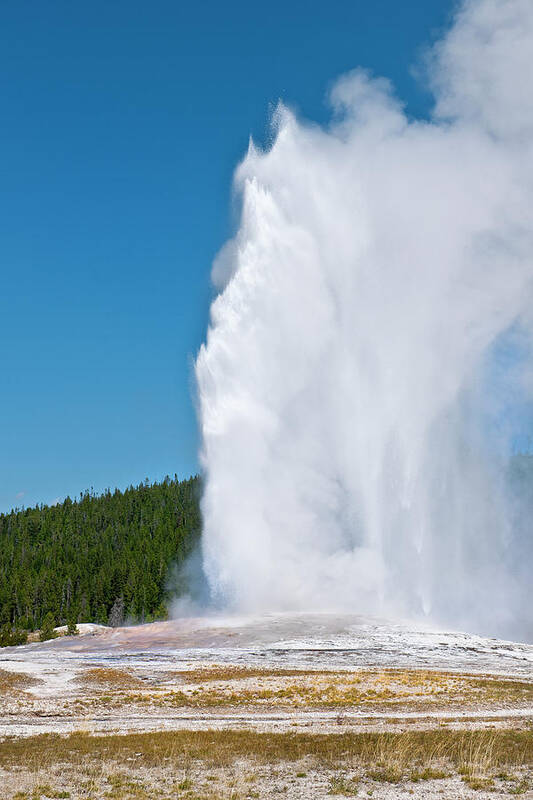 Scenics Poster featuring the photograph Old Faithful In Yellowstone National #1 by Pavliha