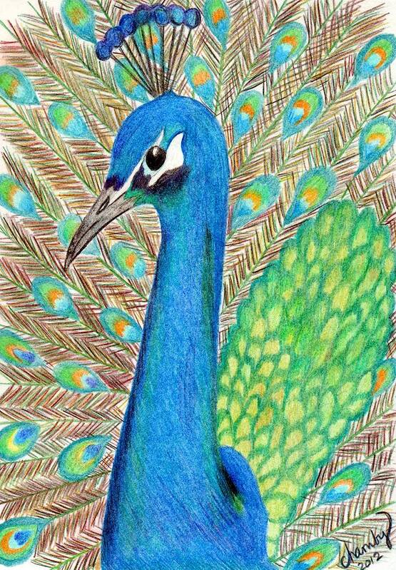 Peacock Poster featuring the drawing Peacock #1 by Carol Hamby