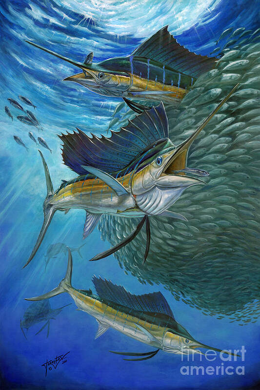 Sailfish Poster featuring the painting Sailfish With A Ball Of Bait by Terry Fox