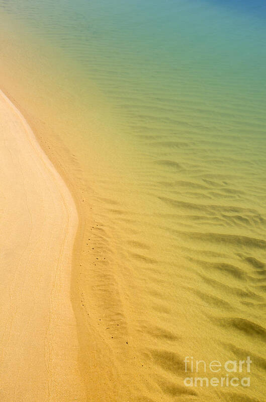 Copyspace Poster featuring the photograph Sea Shore #1 by Carlos Caetano