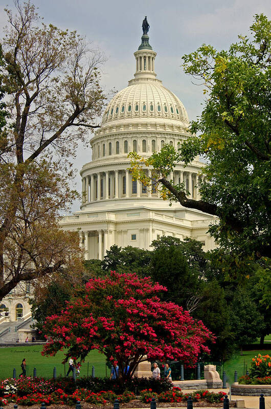 United States Capitol Poster featuring the photograph United States Capitol #1 by Suzanne Stout