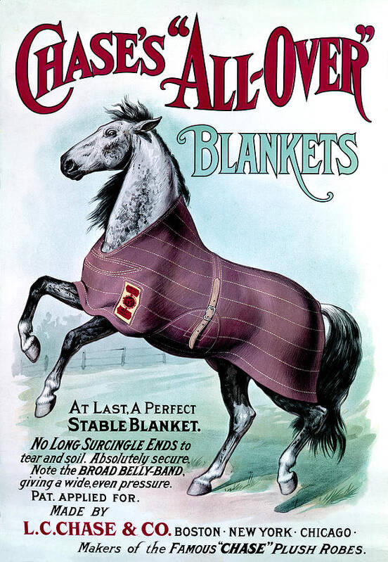 Vintage Poster featuring the painting 19th C. Chase's Horse Blankets by Historic Image