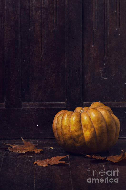 Halloween Poster featuring the photograph Pumpkin on dark background by Jelena Jovanovic