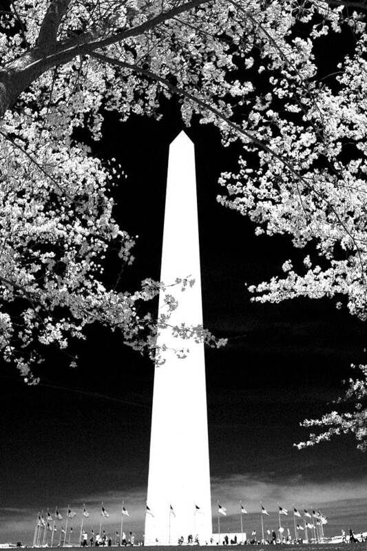 Washington Monument Poster featuring the photograph Washington Monument #2 by Mitch Cat