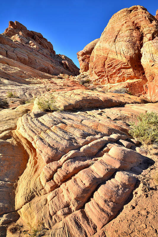 Valley Of Fire State Park Poster featuring the photograph Valley of Fire #227 by Ray Mathis