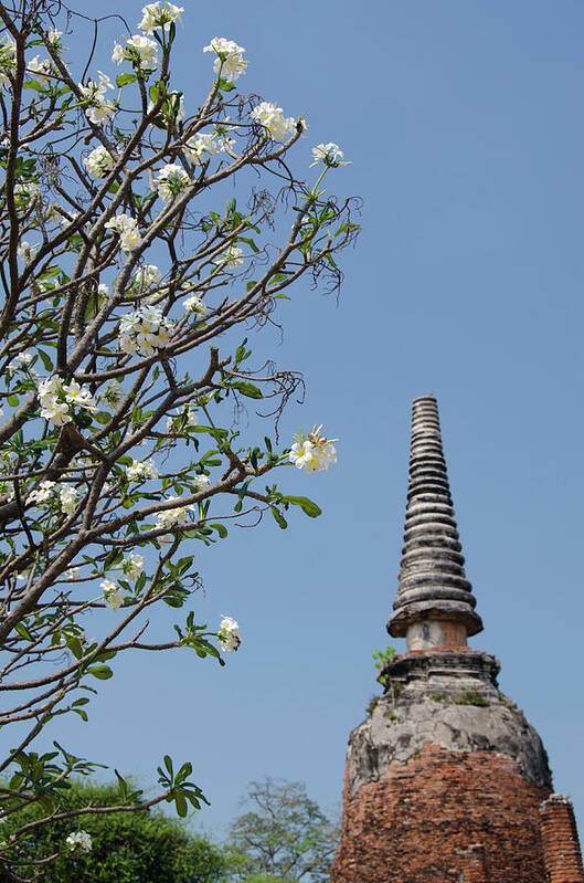 Ancient Poster featuring the photograph Thailand, Ayutthaya #26 by Cindy Miller Hopkins