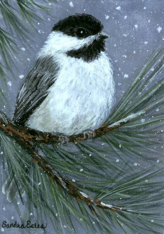 Bird Poster featuring the painting Let It Snow Chickadee #3 by Sandra Estes