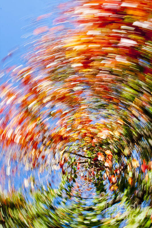 Autumn Poster featuring the photograph Fall Abstract #4 by Steven Ralser