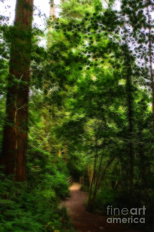 Garden Poster featuring the photograph Scary Welsh Country Forest #4 by Doc Braham