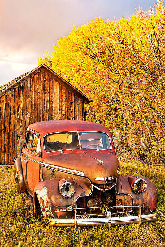 Autumn Poster featuring the photograph 46 Chevy in the Weeds by Rick Wicker