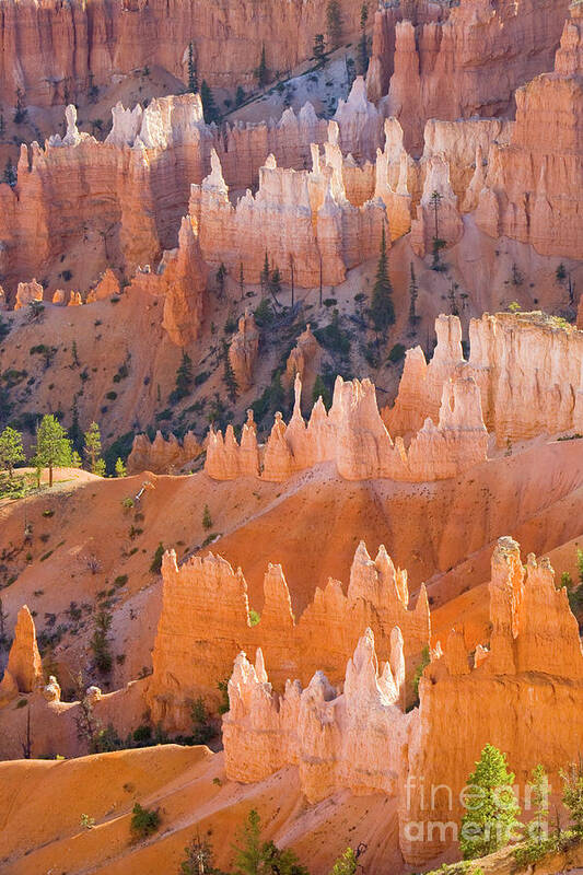 00431147 Poster featuring the photograph Sandstone Hoodoos in Bryce Canyon by Yva Momatiuk John Eastcott