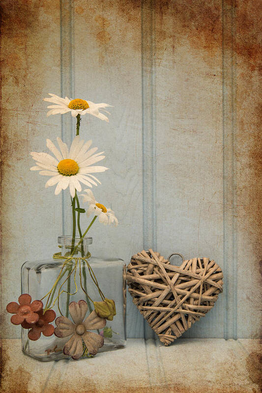 Flower Poster featuring the photograph Beautiful flower in vase with heart still life love concept #6 by Matthew Gibson