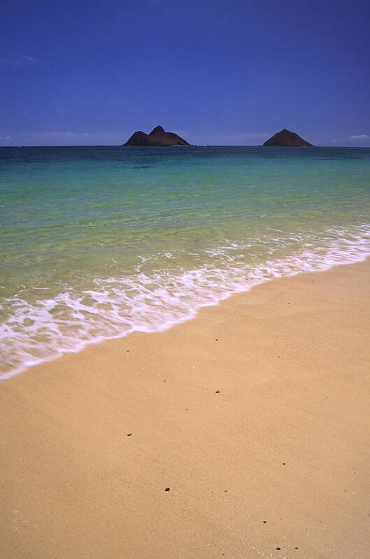 Lanikai Beach Poster featuring the photograph A Blend of Colors by Morris McClung