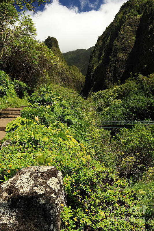 Iao Needle Poster featuring the photograph A Bridge To The Iao Needle by James Eddy