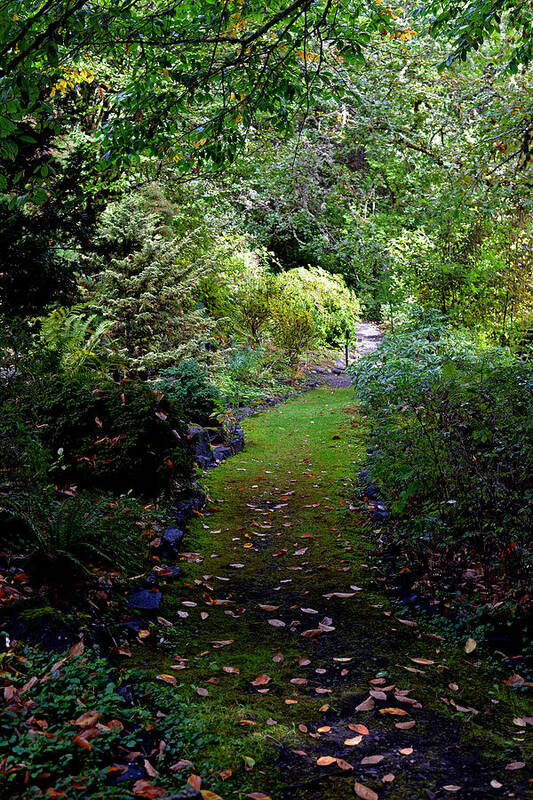 Lakewold Gardens Poster featuring the photograph A Garden Path by Anthony Baatz